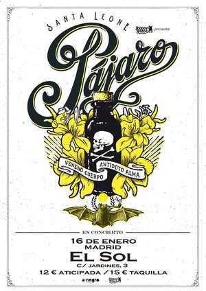 Pájaro en Madrid
