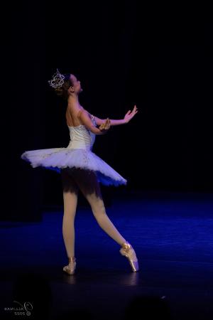 Gran gala de ballet en Arganda