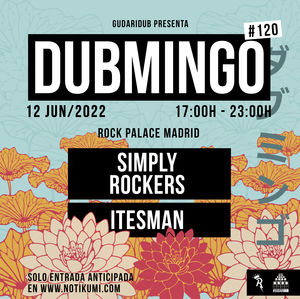 Dubmingo 120