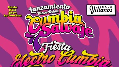 FIESTA ELECTROCUMBIA: post party Tom Son Dj Guacamayo Tropical y Dj Chilli
